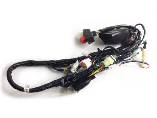 ECO3 WIRING LOOM