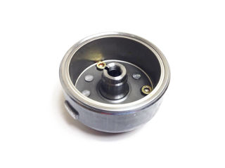 TN25 ROTOR MAGNETO ASSY