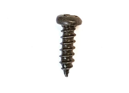 SELF TAPPING SCREW 3x10 (G)