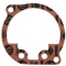 Gaskets & O-Rings