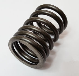 VALVE SPRING OUTER