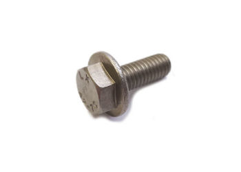 [21] FLANGE SCREW - STAINLESS