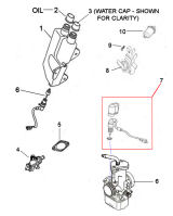 Carb, Fuel, 2 Stroke Oil Tank, Oil Pump