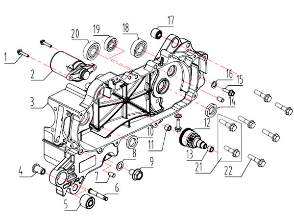 Left Crankcase and Starter Motor