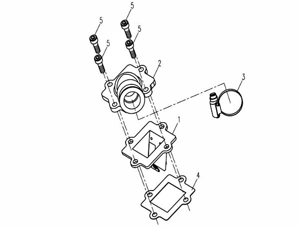 Intake and Reed Valve