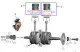 CRANKSHAFT, OIL PUMP, PISTONS AND RINGS