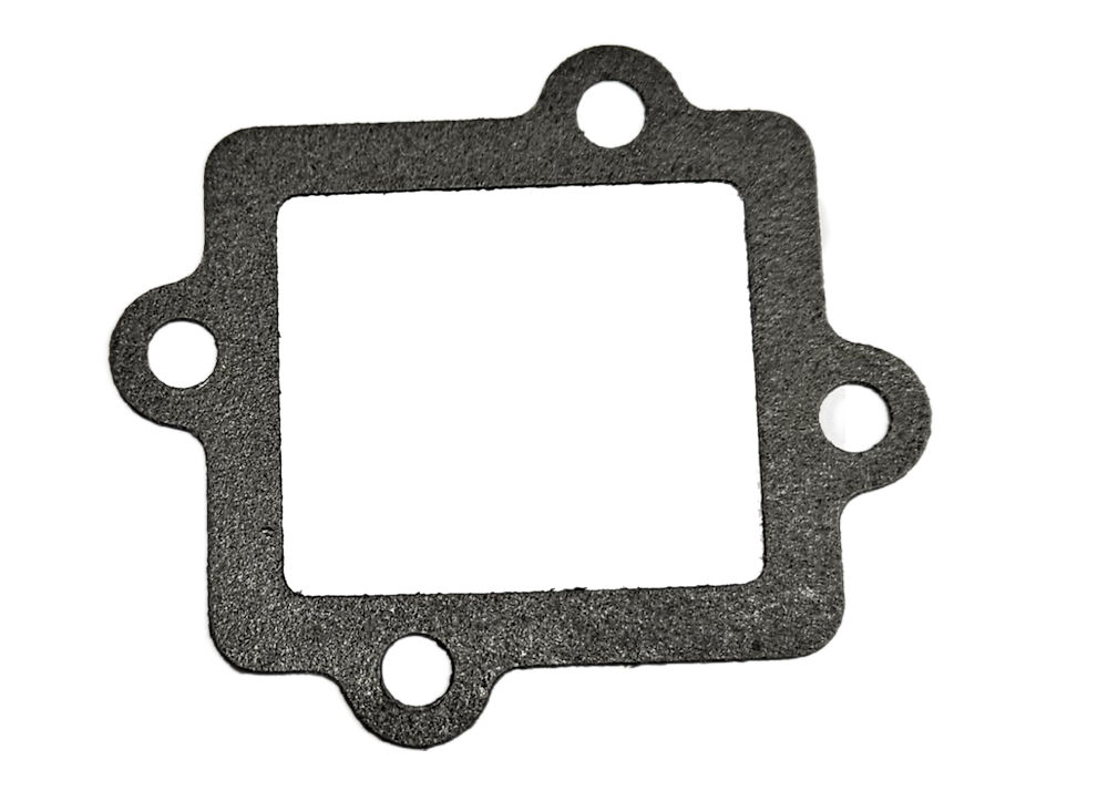 GASKET, REED VALVE