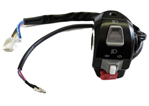 LEFT HANDLE SWITCH ASSY