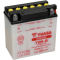 12v Batteries