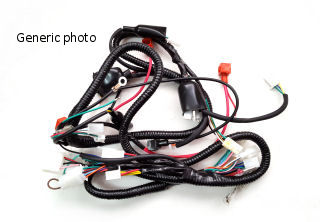 DIGITA 50 MAIN WIRING LOOM