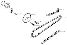 Cam Chain & Camshaft