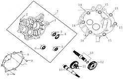 Transmission & Drive Shaft